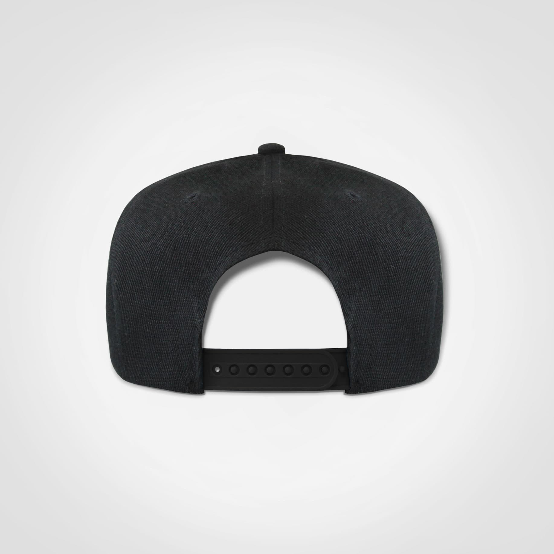 Snapback view 3