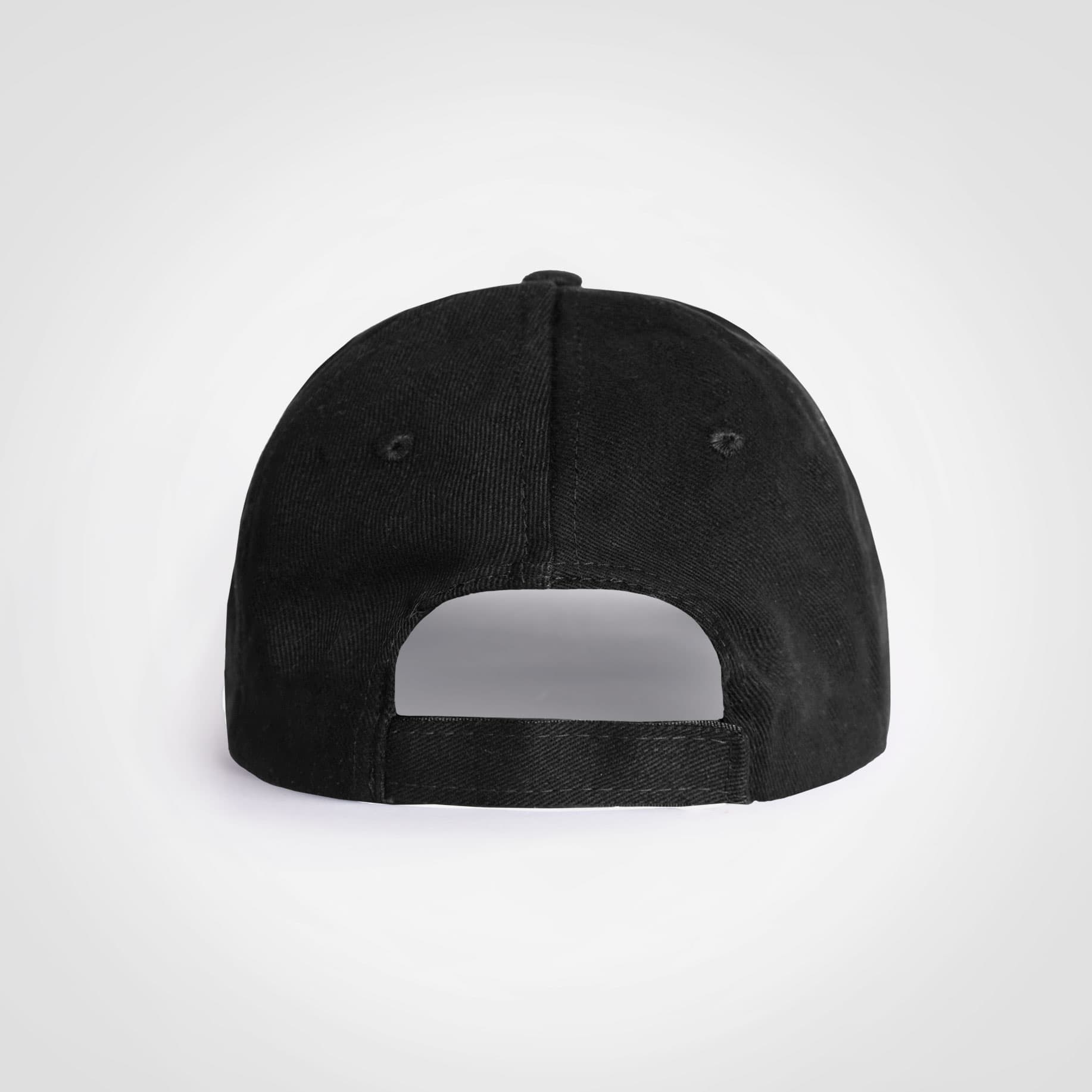 Promo 6 Panel Cap view 3