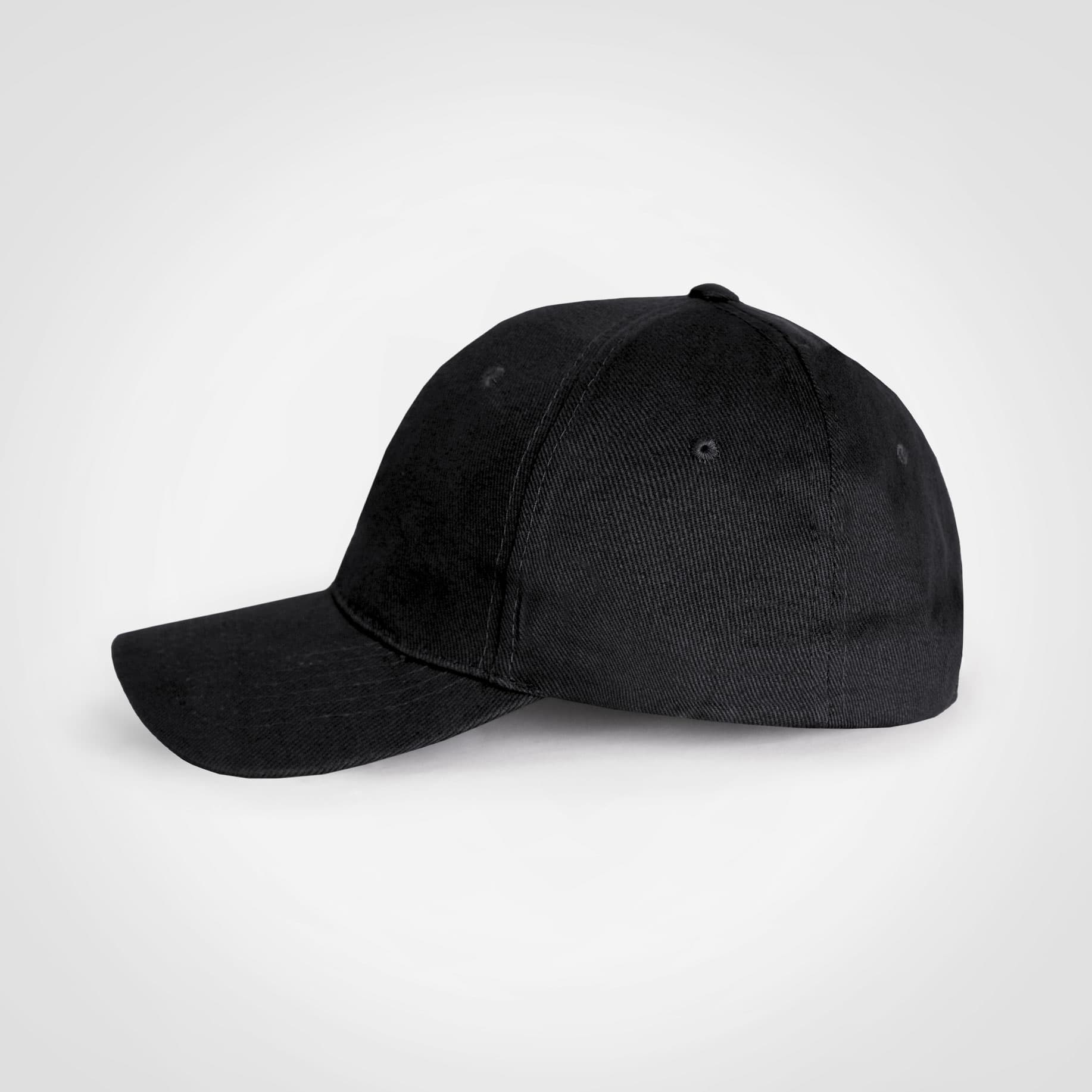 Promo 6 Panel Cap view 2