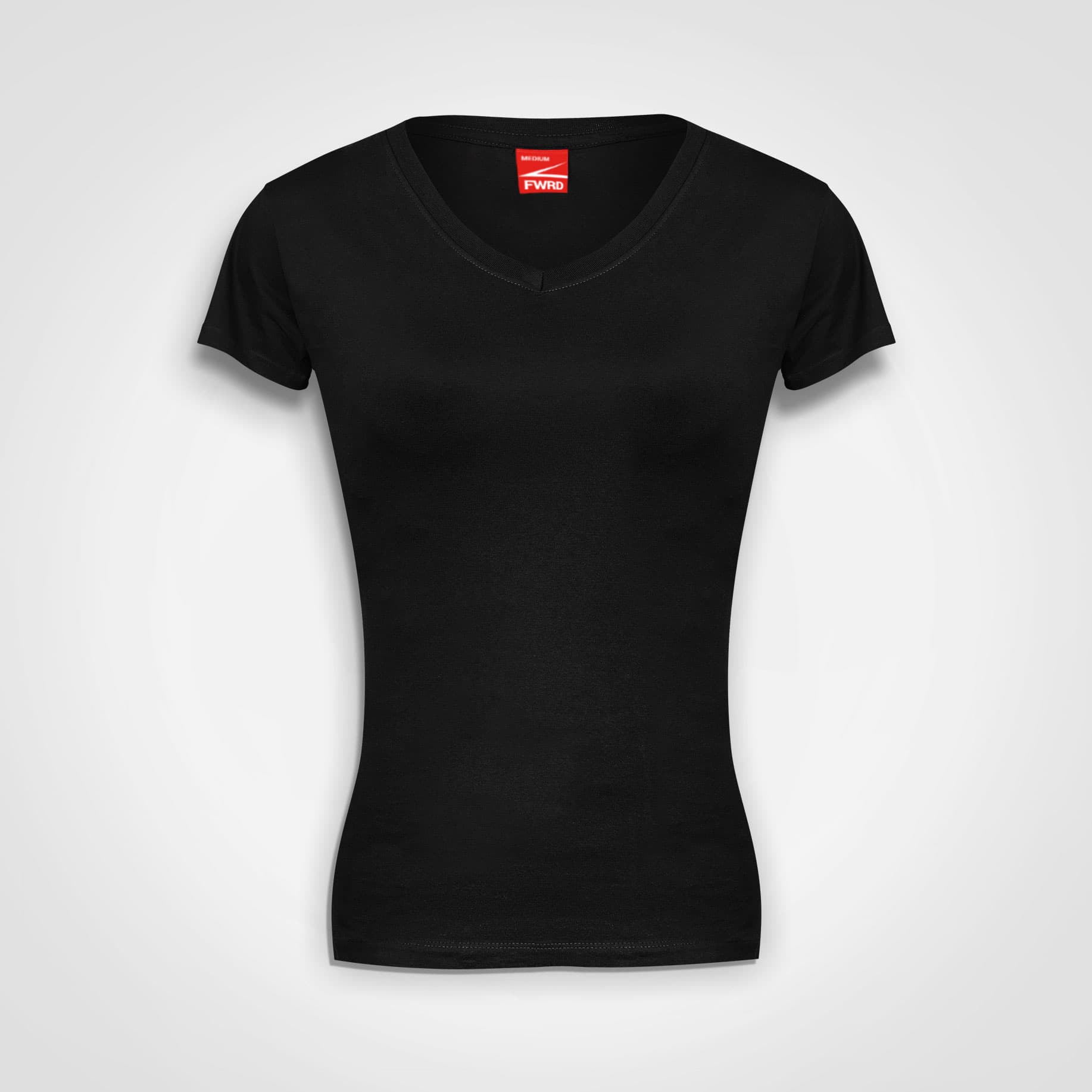 Ladies Fitted V-Neck T-Shirt